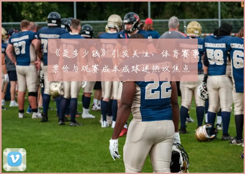 《是多少钱》引发关注，体育赛事票价与观赛成本成球迷热议焦点