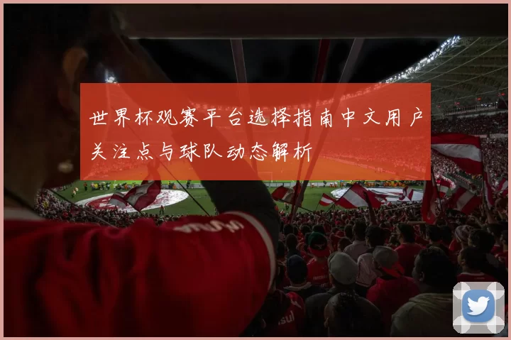 世界杯观赛平台选择指南中文用户关注点与球队动态解析