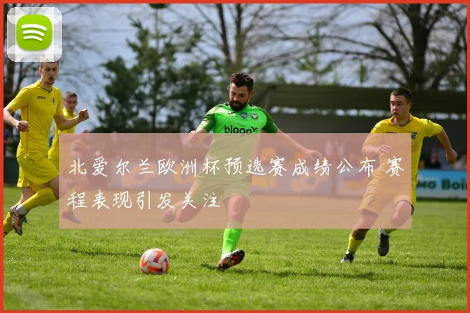 北爱尔兰欧洲杯预选赛成绩公布 赛程表现引发关注