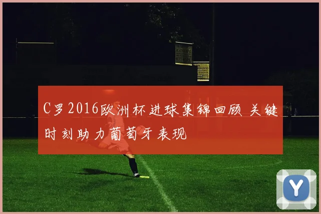 C罗2016欧洲杯进球集锦回顾 关键时刻助力葡萄牙表现